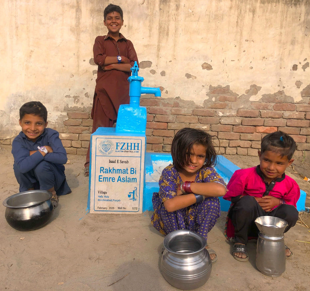 Punjab, Pakistan – Rakhmat Bi Emre Aslam – Well no. 5272