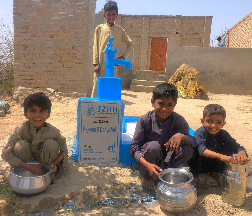 Punjab, Pakistan – Rajeena & Dariya Vali – Well no. 5288