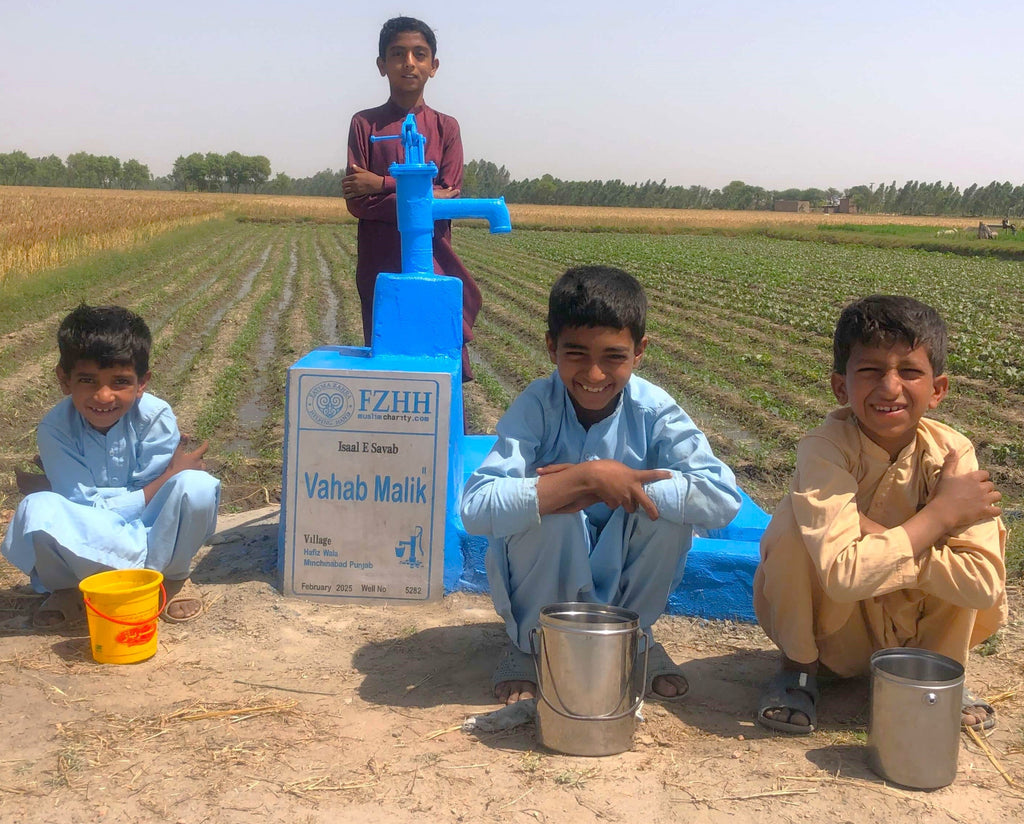Punjab, Pakistan – Vahab Malik – Well no. 5282