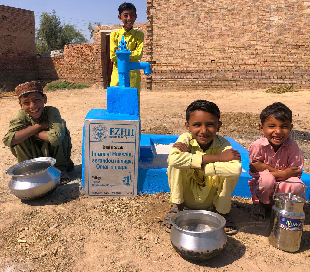 Punjab, Pakistan – Imam al Hussain, Serandou Nimaga, Omar Nimaga – Well no. 5313
