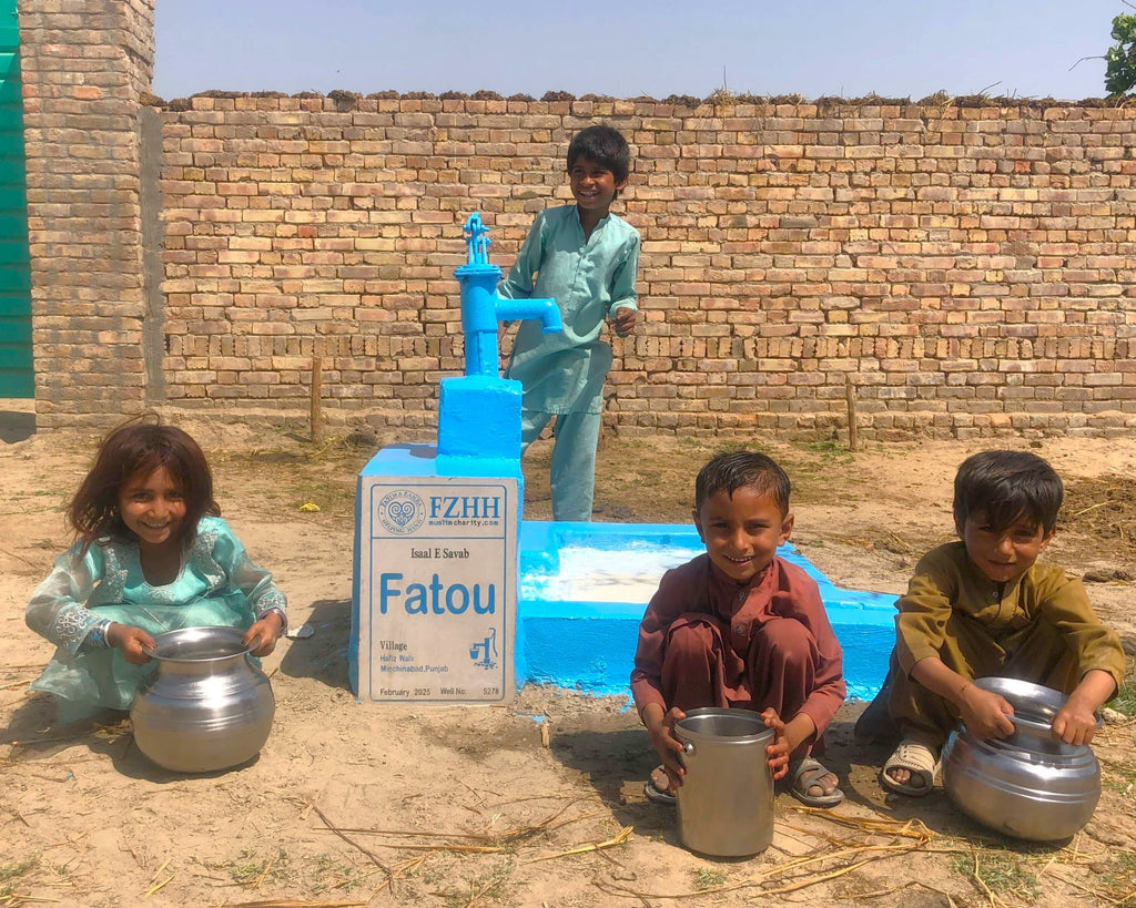 Punjab, Pakistan – Fatou – Well no. 5278