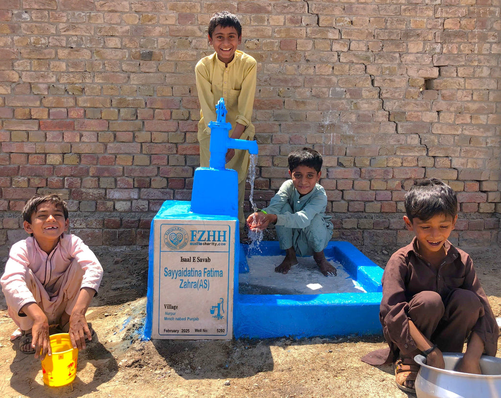 Punjab, Pakistan – Sayyaidatina Fatima Zahra (AS) – Well no. 5292