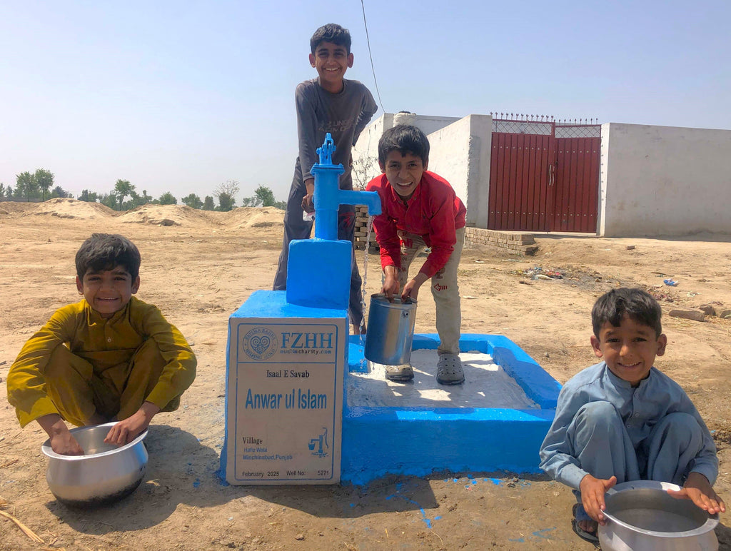 Punjab, Pakistan – Anwar ul Islam – Well no. 5271