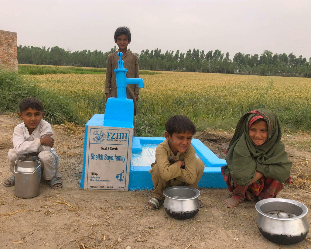 Punjab, Pakistan – Sheikh Sayd, family – Well no. 5269