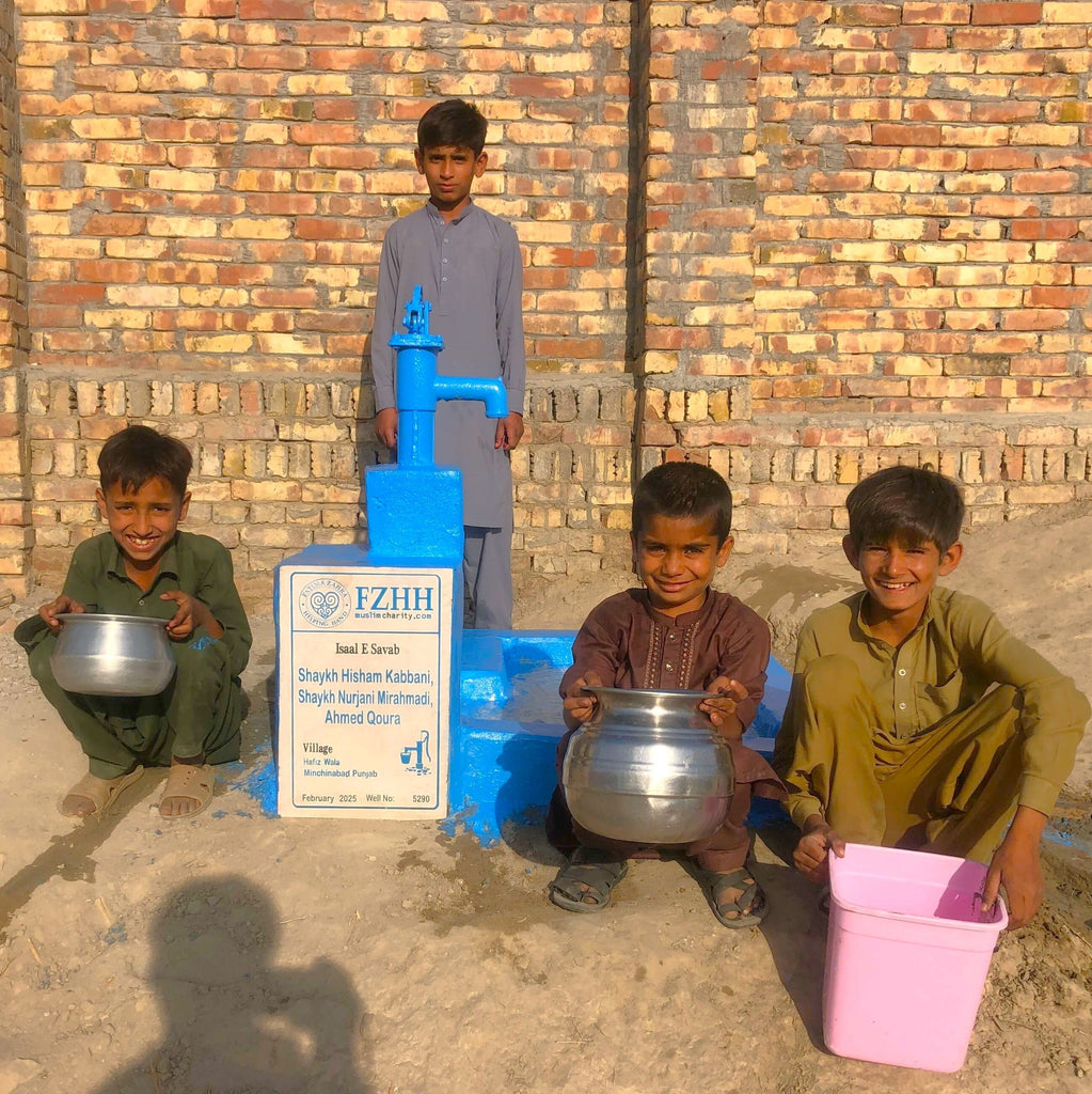 Punjab, Pakistan – Shaykh Hisham Kabbani, Shaykh Nurjani Mirahmadi, Ahmed Qoura – Well no. 5290