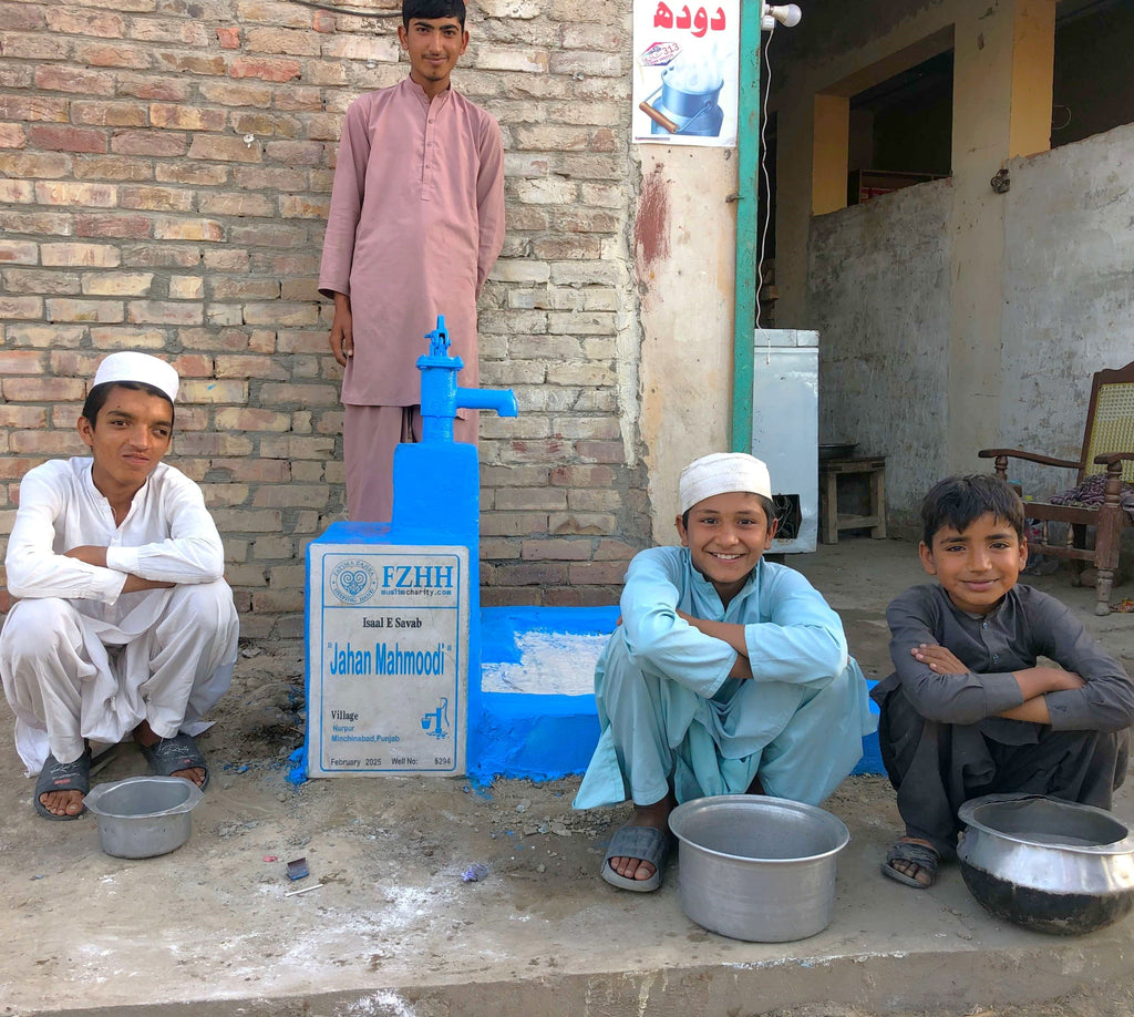 Punjab, Pakistan – Jahan Mahmoodi – Well no. 5294