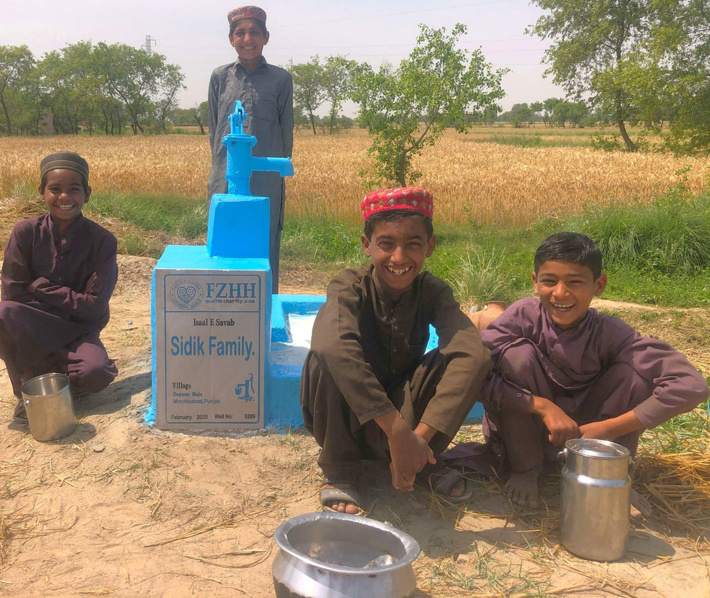 Punjab, Pakistan – Sidik Family – Well no. 5289