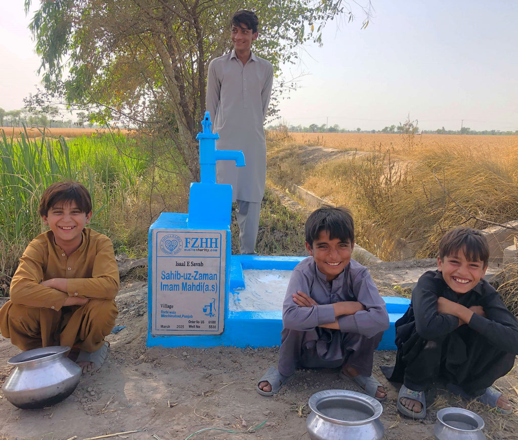 Punjab, Pakistan – Sahib-uz-Zaman Imam Mahdi (A.S) – US Order no. 61088 - Well no. 5538