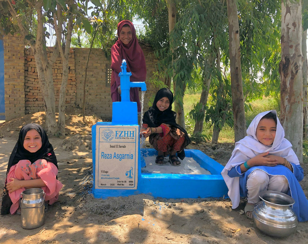 Punjab, Pakistan – Reza Asgarnia – US Order no. 60964 - Well no. 5524