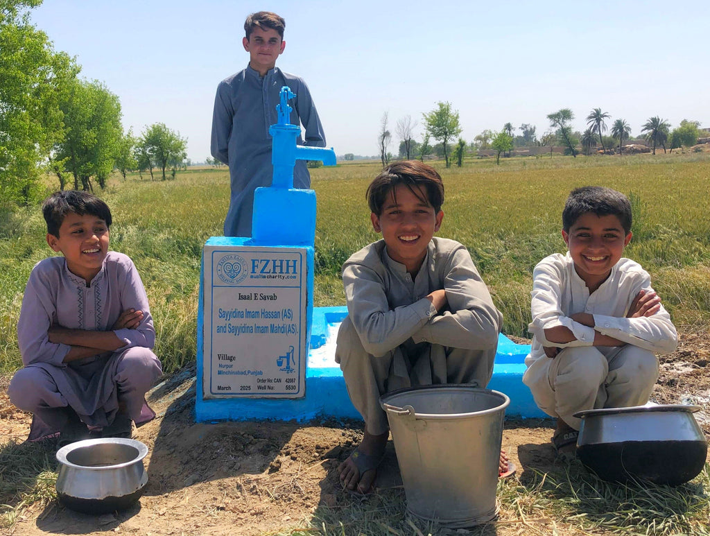 Punjab, Pakistan – Sayyidina Imam Hassan (AS) and Sayyidina Imam Mahdi (AS) – CA Order no. 42087 - Well no. 5530