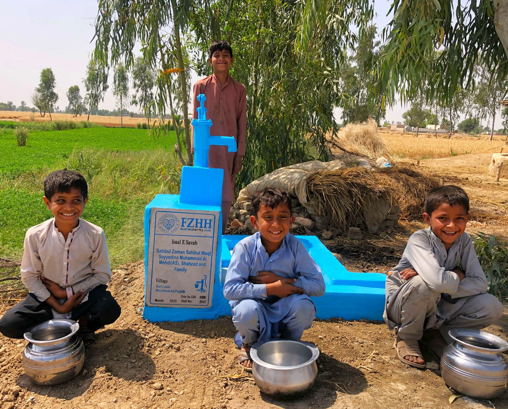 Punjab, Pakistan – Sahibul Zaman Sahibul Waqt Sayyedina Muhammad Al Mehdi(AS), Shahzad and Family – CA Order no. 42099 - Well no. 5541