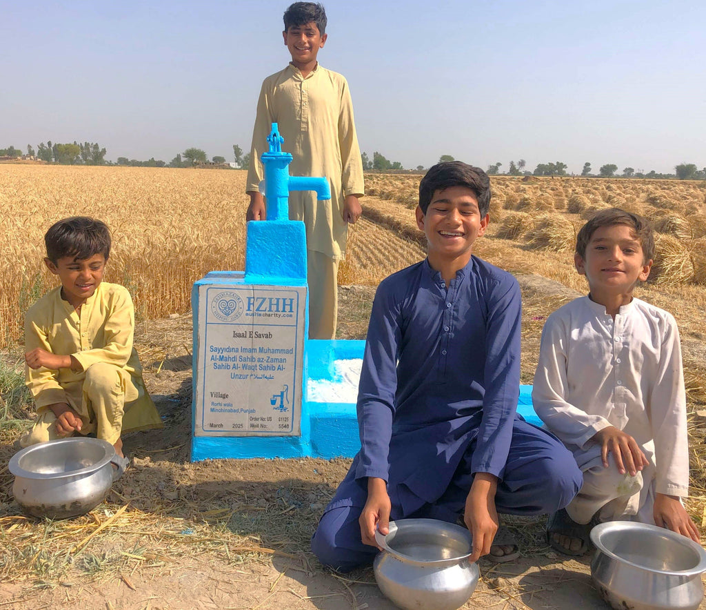 Punjab, Pakistan – Sayyidina Imam Muhammad Al-Mahdi Sahib az-Zaman Sahib Al-Waqt Sahib Al-Unzur عليه السلام – US Order no. 61125 - Well no. 5540