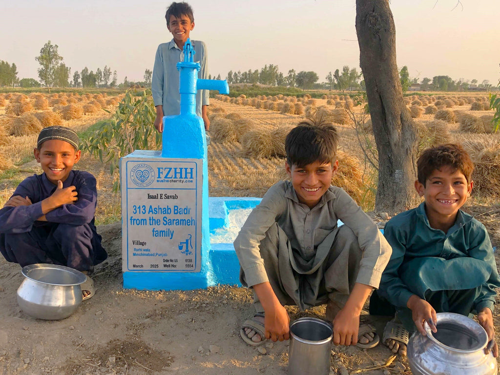Punjab, Pakistan – 313 Ashab Badr from the Sarameh family – US Order no. 61386 - Well no. 5554