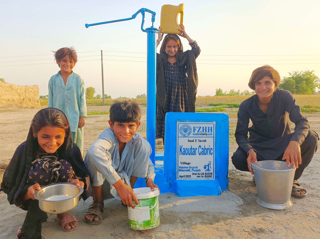 Punjab, Pakistan – Kaoutar Cabric – US Order no. 62979 - Well no. 5695