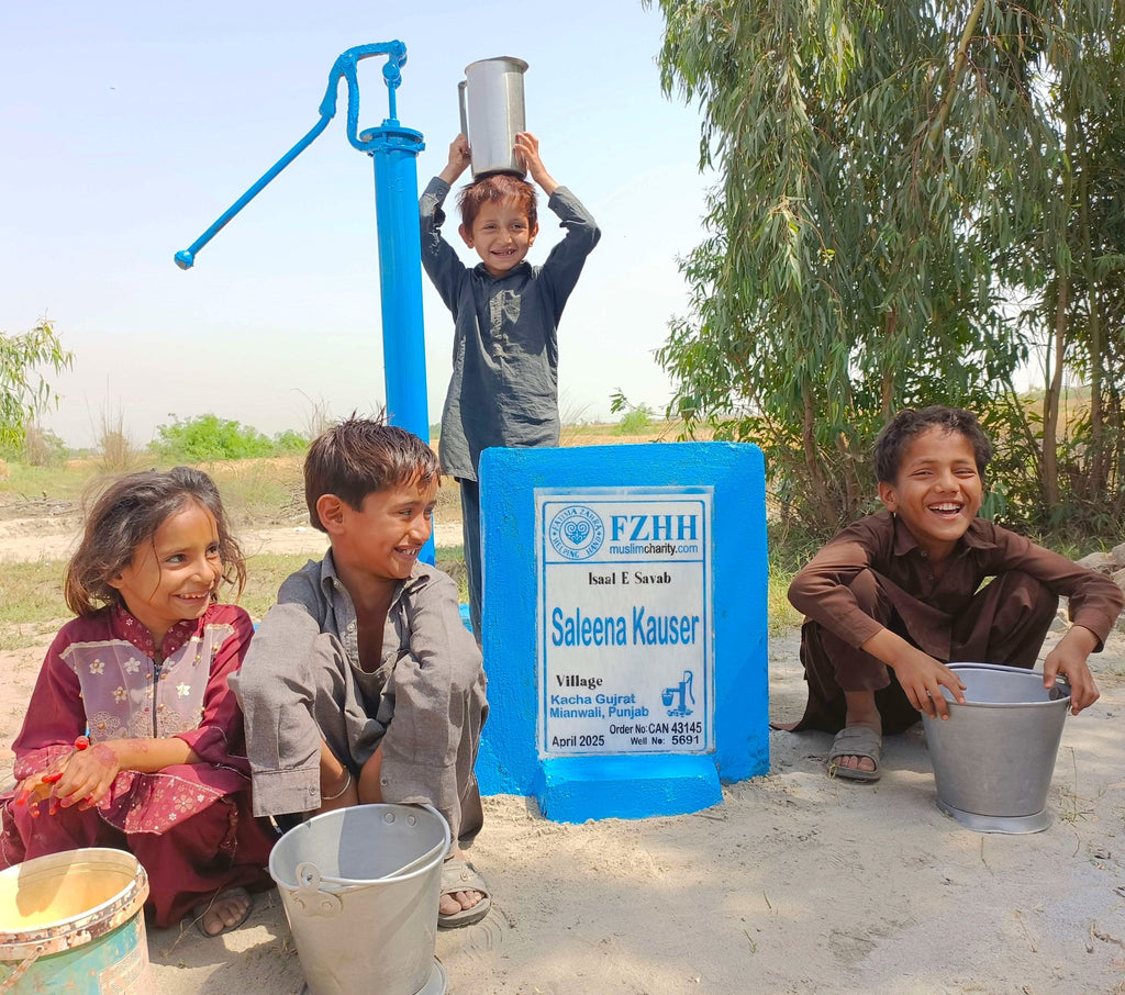 Punjab, Pakistan – Saleena Kauser – CA Order no. 43145 - Well no. 5691