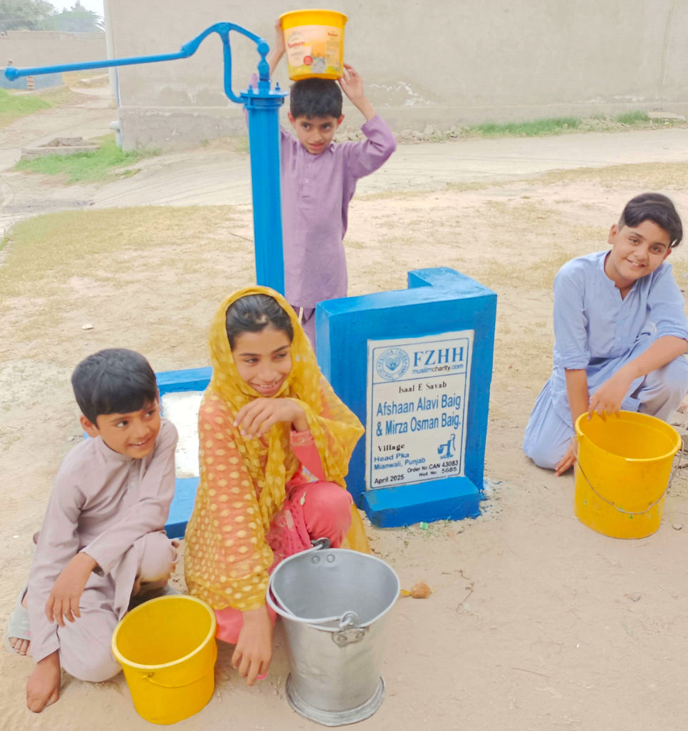 Punjab, Pakistan – Afshaan Alavi Baig & Mirza Osman Baig – CA Order no. 43083 - Well no. 5685