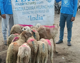 Hyderabad, India - Participating in Our Holy Qurbani Program & Mobile Food Rescue Programs by Processing, Packaging & Distributing Over 139+ lbs of Holy Qurbani Meat from 10 Holy Qurbans to Local Community’s 70+ Less Privileged Families