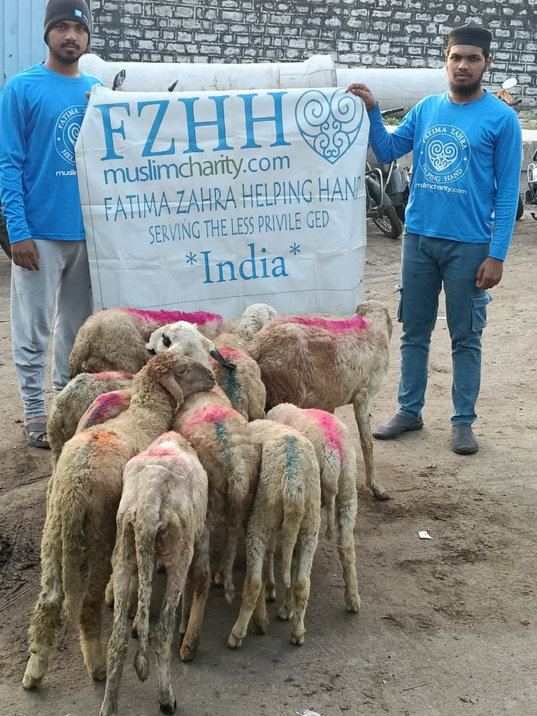 Hyderabad, India - Participating in Our Holy Qurbani Program & Mobile Food Rescue Programs by Processing, Packaging & Distributing Over 139+ lbs of Holy Qurbani Meat from 10 Holy Qurbans to Local Community’s 70+ Less Privileged Families