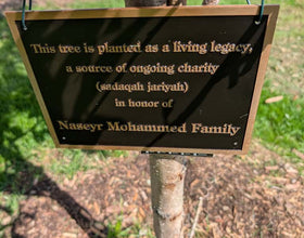 Los Angeles, California - Participating in New Masjid Support Program by Dedicating Trees to Our New Masjid of the Rising Sun and Sufi Farm