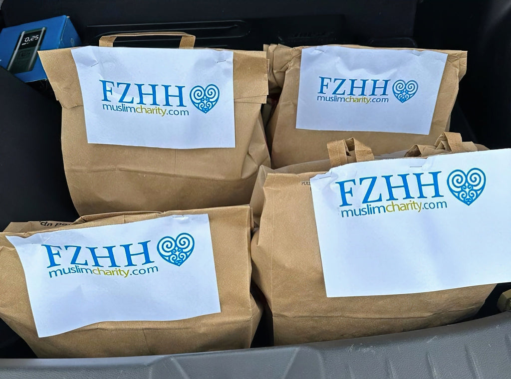 Minneapolis, Minnesota - Participating in Mobile Food Rescue Program by Distributing Essential Grocery Packages to Local Community's Homeless & Less Privileged People