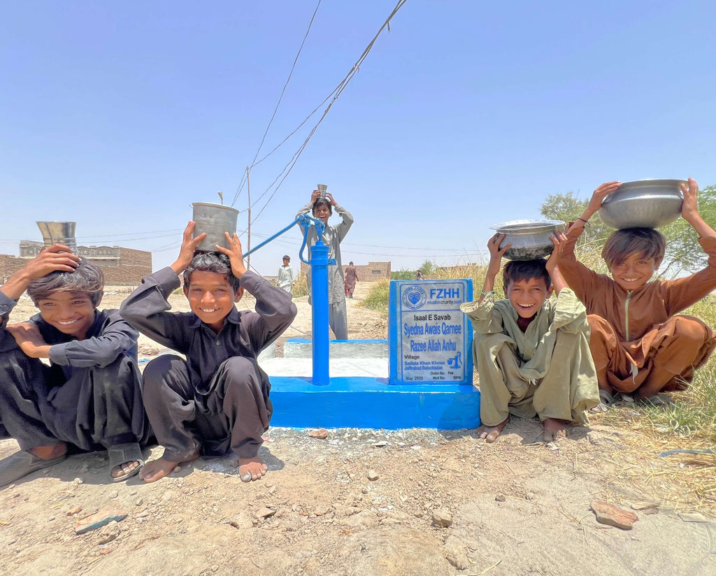 Syedna Awais Qarnee Razee Allah Anhu - Order no. XXXXXXXX - Well no. US 5910