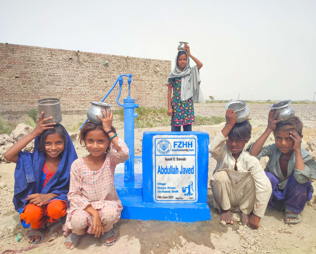 Abdullah Javed - Order no. XXXXXXXX - Well no. US 5987