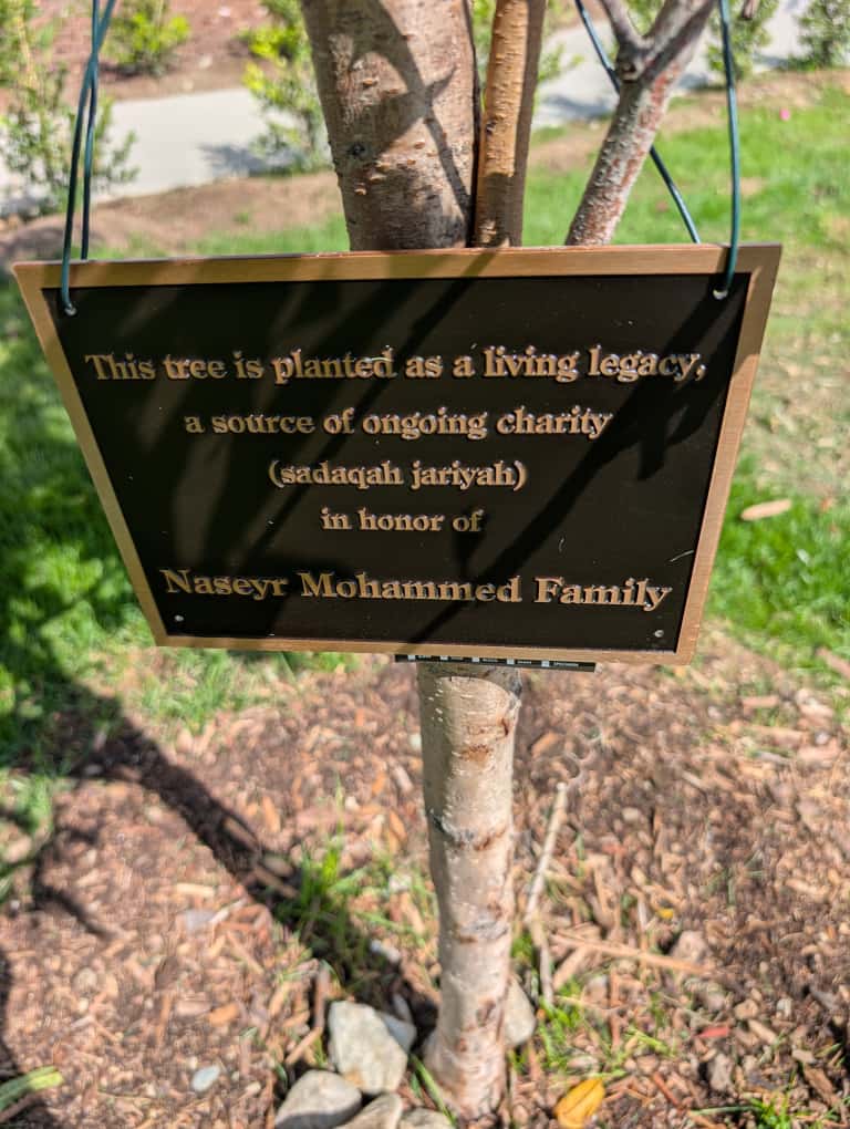Los Angeles, California - Participating in New Masjid Support Program by Dedicating Trees to Our New Masjid of the Rising Sun and Sufi Farm