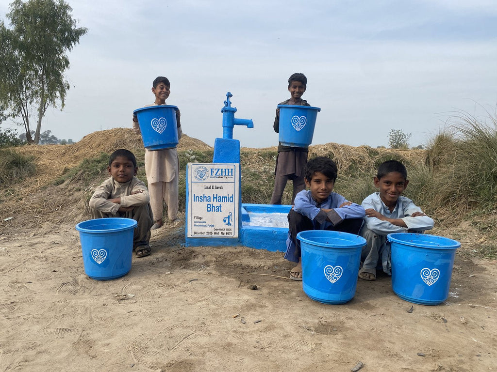 Insha Hamid Bhat - Order no. CAN 55526 - Well no. 6676