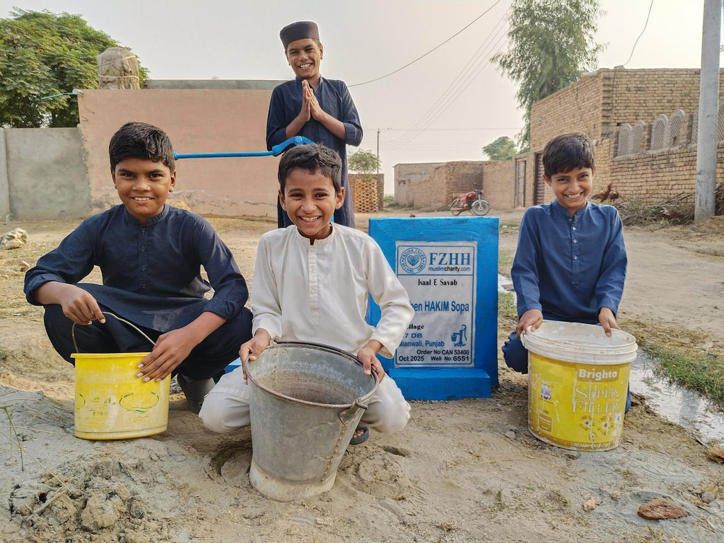 Arben HAKIM Sopa - Order no. CAN 53400 - Well no. 6551