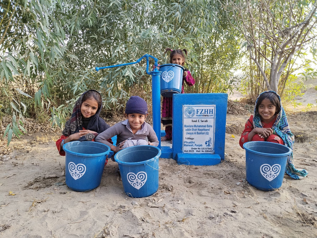 Mawlana Muhammad Baha’uddin Shah Naqshband Uwaysi al Bukhari... - Order no. US 87942 - Well no. 6642