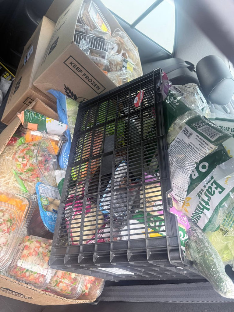 Food Bank Activity in San Francisco, California, USA - May 10, 2026