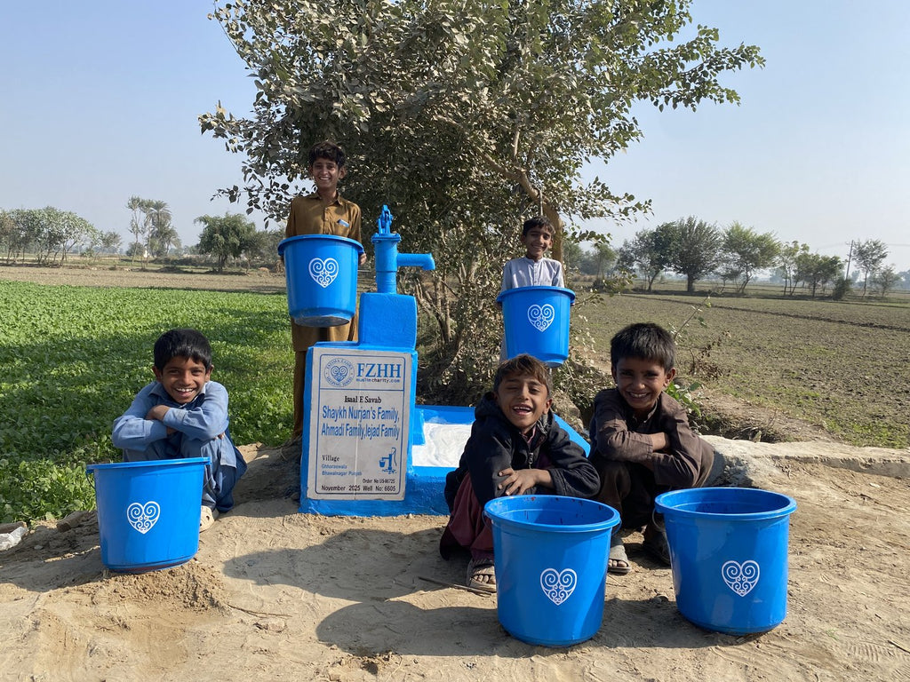 Shaykn Nurjan's Family, Ahmadi Family, Iejad Family - Order no. US 86725 - Well no. 6605