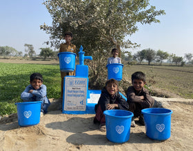 Shaykn Nurjan's Family, Ahmadi Family, Iejad Family - Order no. US 86725 - Well no. 6605