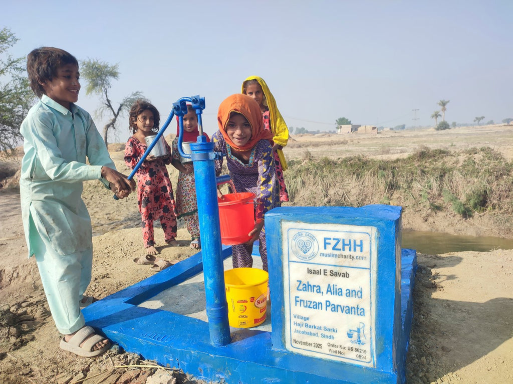 Zahra, Alia and Fruzan Parvanta - Order no. US 86219 - Well no. 6594