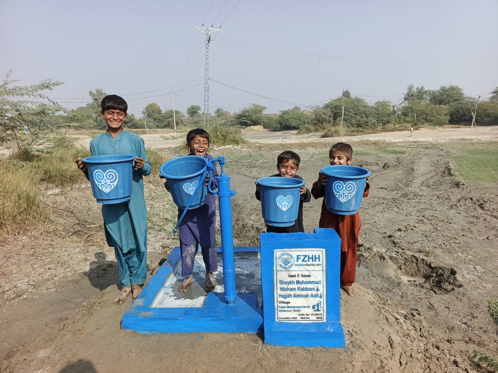 Shaykh Muhammad Hisham Kabbani ق , Hajjah Aminah Adil ق - Order no. US 88472 - Well no. 6656