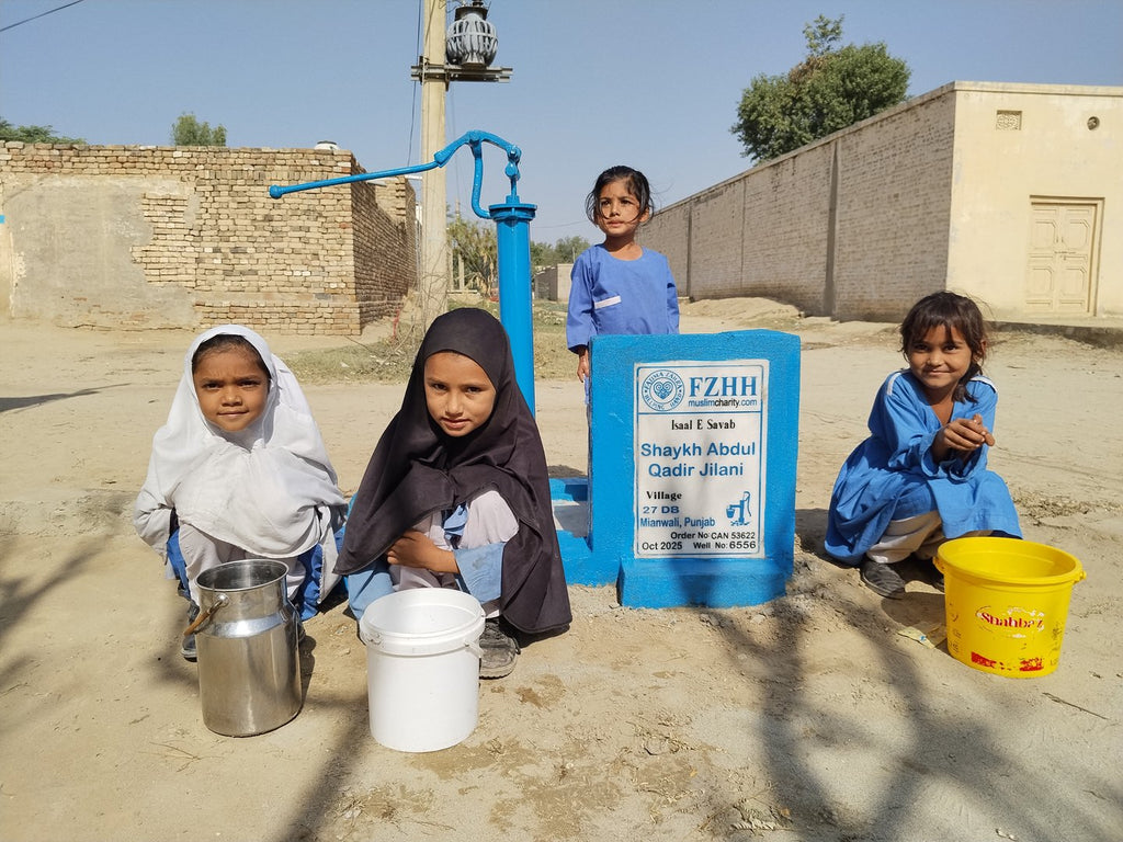 Shaykh Abdul Qadir Jilani - Order no. CAN 53622 - Well no. 6556