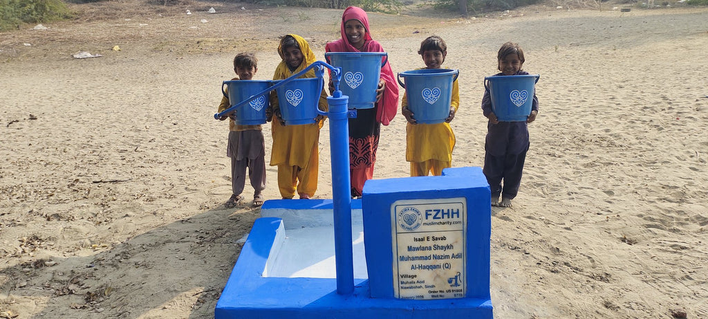 Mawlana Shaykh Muhammad Nazim Adil al-Haqqani (Q) - Order no. US 91868 - Well no. 6778