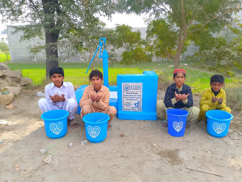 Hajjah Amina Adil (QS) Sayyidi Shaykh Nurjan Mirahmadi (QS) - Order no. US 87740 - Well no. 6630