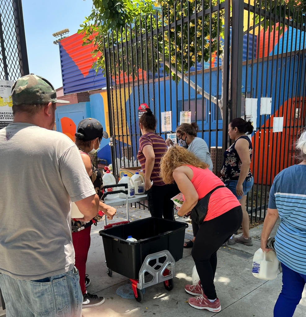 Honoring URS of Beloved Hajjah Amina Adil (Q) by Distributing Rescued Groceries to Community's Women's Shelter - LA