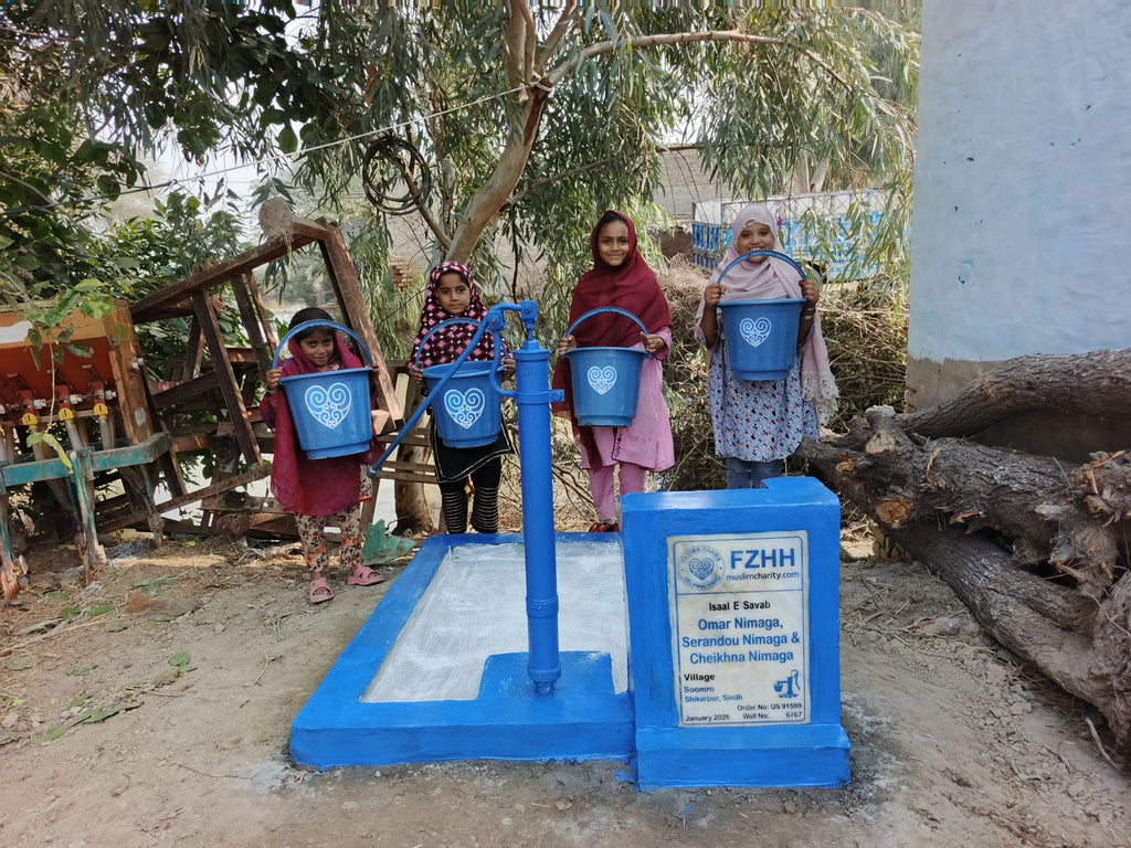 Omar nimaga, Serandou nimaga & Cheikhna nimaga - Order no. US 91599 - Well no. 6767