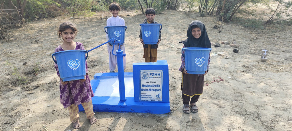 Mawlana Sheikh Nazim al-Haqqani - Order no. US 91838 - Well no. 6777