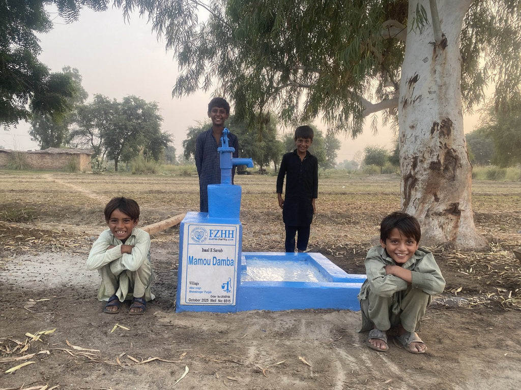 Mamou Damba - Order no. US 83196 - Well no. 6515