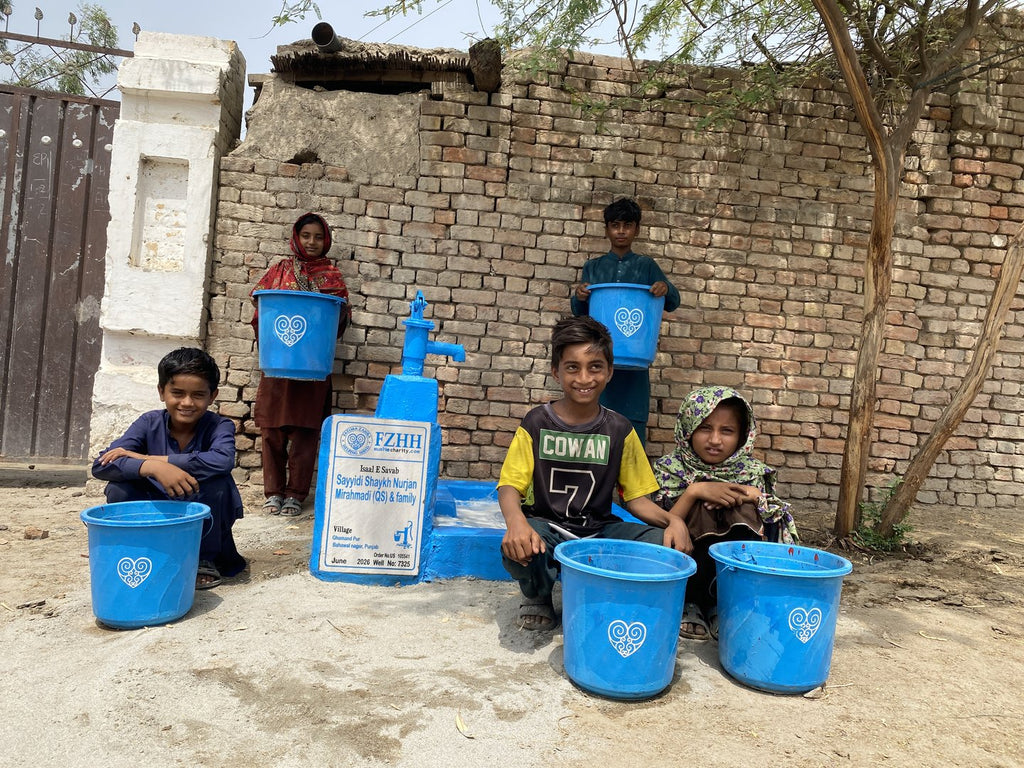 Sayyidi Shaykh Nurjan Mirahmadi (QS) & family - Order no. US 105541 - Well no. 7325
