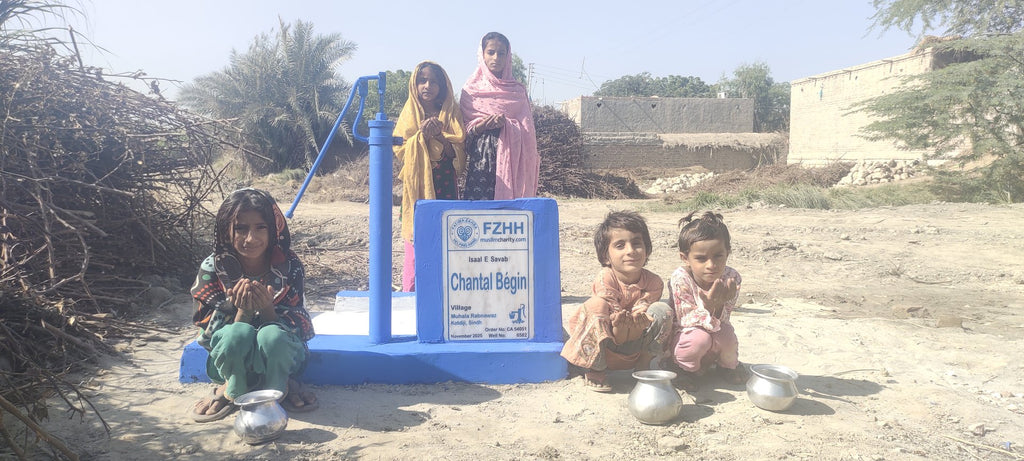 Chantal Bégin - Order no. CAN 54051 - Well no. 6582