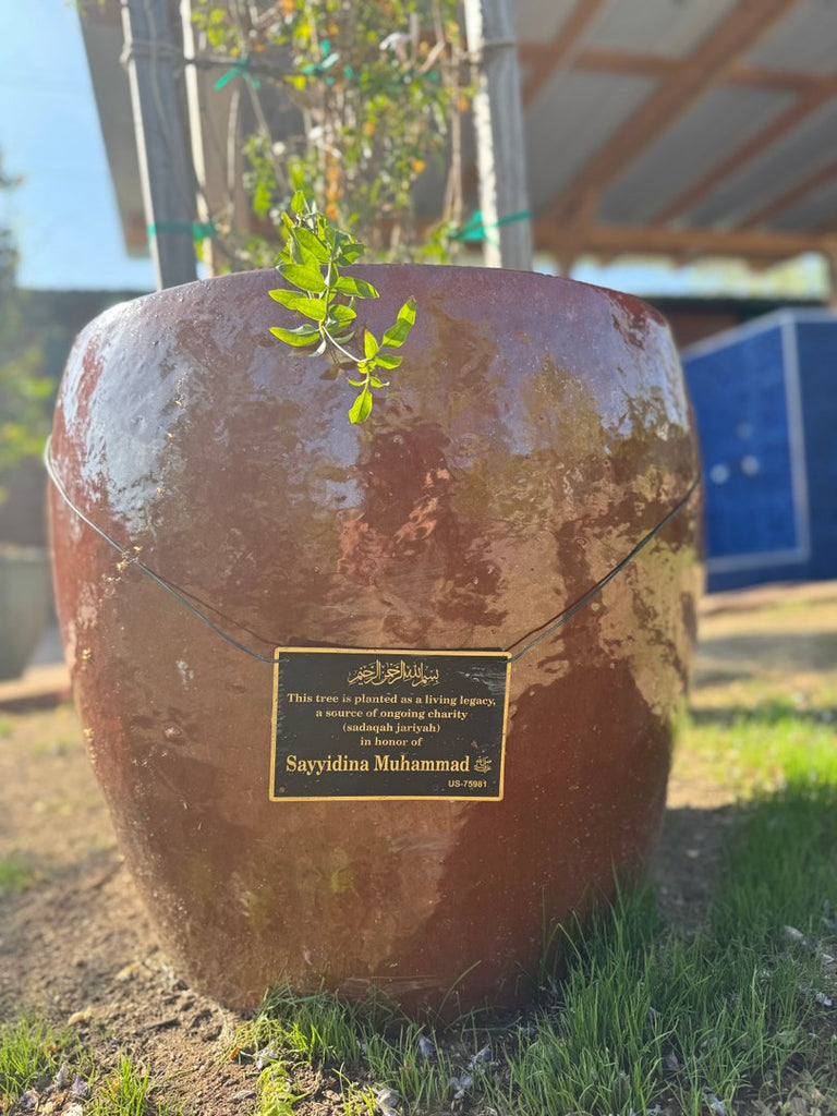 Masjid Tree Dedications Part 2 in Los Angeles, California, USA - Mar 13, 2026