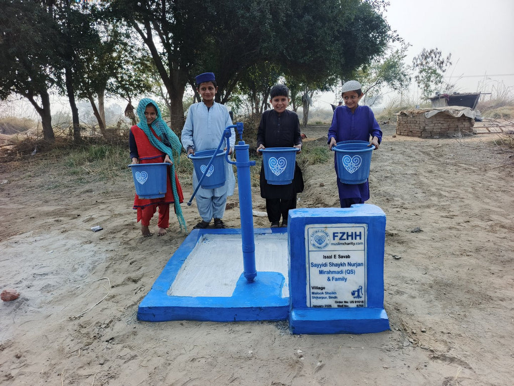 Sayyidi Shaykh Nurjan Mirahmadi (QS) & family - Order no. US 91616 - Well no. 6768