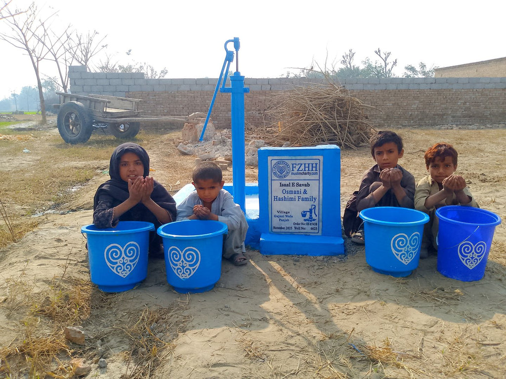 Osmani & Hashimi Family - Order no. US 87438 - Well no. 6625