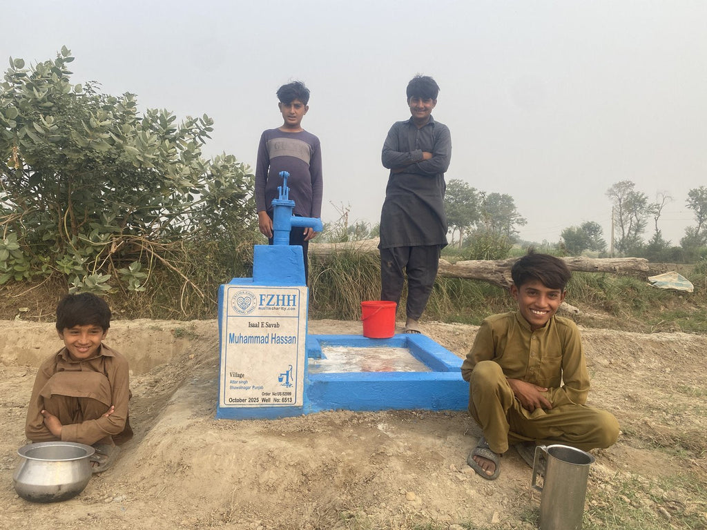 Muhammad Hassan - Order no. US 82999 - Well no. 6513