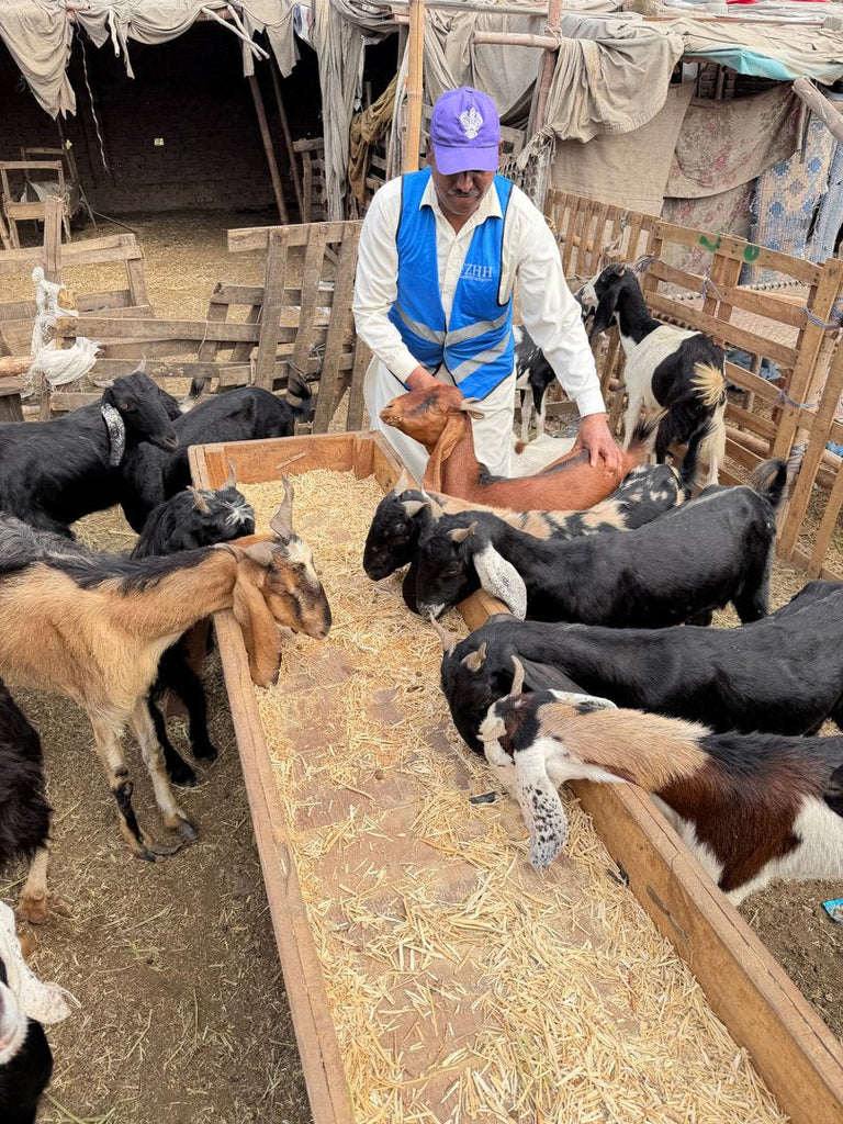 Qurban Udhiyah Activity Part 1 - Preparing - in Lahore, Pakistan - May 28, 2026