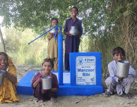Manzoor Bibi, , - Order no. US 83810 - Well no. 6534